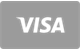 Visa kaartbetaling icoon voor SavaSpin Casino